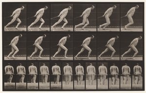 Levy 392. Puutarharullan vetäminen, 1872-1885 tekijältä Eadweard Muybridge