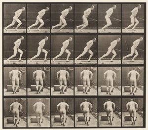 Levy 393. Puutarharullan työntäminen, 1872-1885 tekijältä Eadweard Muybridge