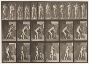 Levy 395. Kammen kahvan kääntäminen tekijältä Eadweard Muybridge