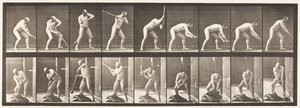 Lauta 396. Nyökkäys nuijalla tekijältä Eadweard Muybridge