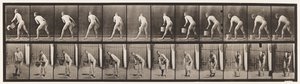 Levy 398. Vesiämpäri nostetaan tyhjäksi, 1872-1885 tekijältä Eadweard Muybridge