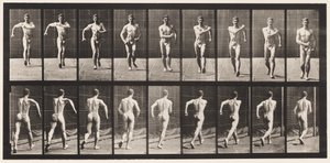 Lauta 3. Kävely tekijältä Eadweard Muybridge