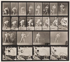 Levy 400. Vesiämpäri tyhjennys, 1872-1885 tekijältä Eadweard Muybridge