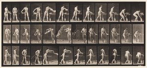 Levy 402. Veden tyhjennysallas tekijältä Eadweard Muybridge