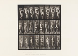 Kilpi 405. Tiilien kantaminen tikkailla, 1872-1885 tekijältä Eadweard Muybridge