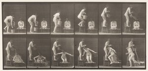 Lauta 406. Kaksi mallia, 8 kaatava vesiämpäri 1 päälle tekijältä Eadweard Muybridge