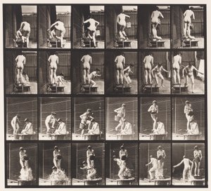 Lauta 407. Kaksi mallia, 8 kaatava vesiämpäri 1 päälle tekijältä Eadweard Muybridge