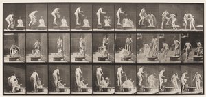 Kilpi 408. Kaksi mallia tekijältä Eadweard Muybridge