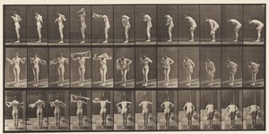 Lauta 414. Pyyhi vartalo pyyhkeellä tekijältä Eadweard Muybridge