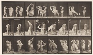 Lauta 429. WC; Kaksi mallia, 1 Disrobing 8, 1872-1885 tekijältä Eadweard Muybridge