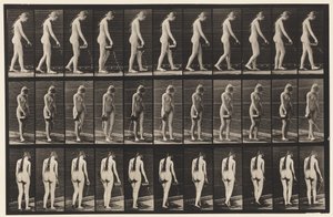 Lauta 42. Kävely, kaatamalla vettä kannusta tekijältä Eadweard Muybridge