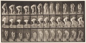 Lauta 433. Vaatteiden vääntäminen tekijältä Eadweard Muybridge