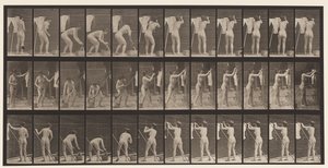 Levy 434. Riippuvat vaatteet linjalla, 1872-1885 tekijältä Eadweard Muybridge