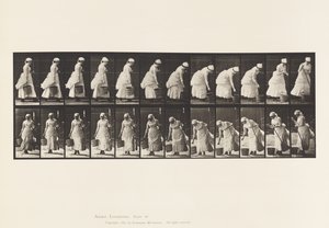 Levy 437. Kauhan laskeminen alas ja lakaisuun valmistautuminen tekijältä Eadweard Muybridge