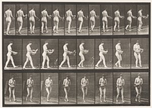Lauta 43. Käveleminen, Veden kastelu altaasta, Kääntyminen tekijältä Eadweard Muybridge