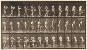 Lauta 441. Kantomaljakko ja sen asettaminen pöydälle, 1872-1885 tekijältä Eadweard Muybridge