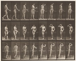 Lauta 443. Juominen pikarista seisten tekijältä Eadweard Muybridge