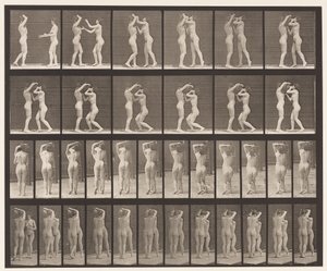 Lauta 445. Kaksi mallia - 8 juominen vesipurkista 1 olalla tekijältä Eadweard Muybridge
