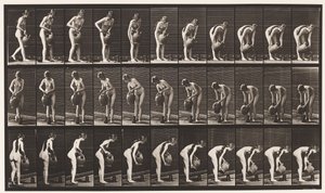 Lauta 446. Täyttökannu maassa vesipurkista tekijältä Eadweard Muybridge