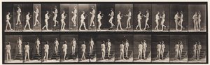 Kilpi 448. Kaksi mallia tekijältä Eadweard Muybridge