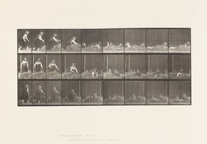 Levy 455. Heinäkasaan heittäminen tekijältä Eadweard Muybridge