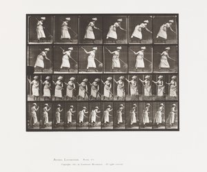 Levy 456. Sijoitus on 165 tekijältä Eadweard Muybridge
