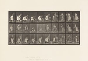 Lauta 458. Kourallisten heinän nostaminen, kääntäminen, heittäminen alas tekijältä Eadweard Muybridge