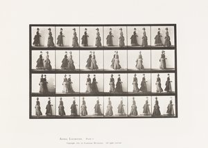 Levy 45. Kävely kahden mallin kohtaaminen ja osittain kääntyminen tekijältä Eadweard Muybridge