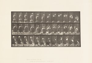 Lauta 460. Kantopurkkia olkapäällä ja koria kädessä, 1885 tekijältä Eadweard Muybridge