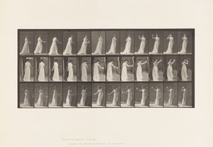 Lauta 462. Libationin kaataminen maahan, juominen pikarista, 1885 tekijältä Eadweard Muybridge