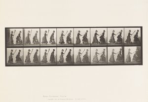 Kilpi 464. Kaksi mallia, 16 Chasing 4 luudalla, 1885 tekijältä Eadweard Muybridge
