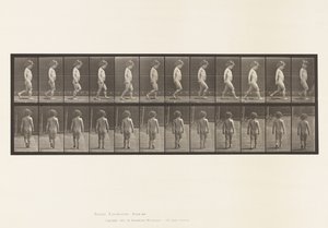 Levy 467. Lapsi, kävely, 1885 tekijältä Eadweard Muybridge
