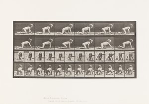 Levy 471. Lapsi, ryömi käsissä ja polvissa, 1885 tekijältä Eadweard Muybridge