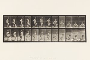 Lauta 476. Lapsi, istuu maassa tekijältä Eadweard Muybridge
