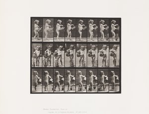 Lauta 478. Lapsi, kastelee vettä joidenkin kukkien päälle, 1885 tekijältä Eadweard Muybridge
