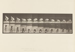 Levy 479. Lapsi, nousee maasta tekijältä Eadweard Muybridge