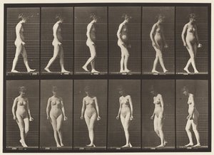 Levy 47. Kävely ja kääntyminen tekijältä Eadweard Muybridge