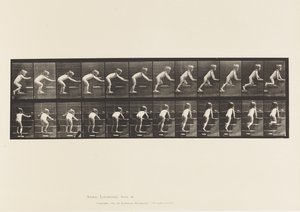 Levy 480. Lapsi, kävelee ja ryömi yläkerrassa tekijältä Eadweard Muybridge