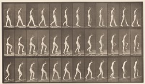 Levy 482. A, Kävely; B, Nousevat portaat; C, Ascending Incline, 1872-1885 tekijältä Eadweard Muybridge