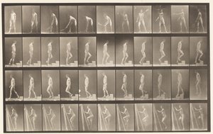 Levy 486. A, Lawn Tennis; B, Ascending a Step;, 1872-1885 tekijältä Eadweard Muybridge