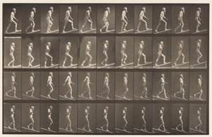 Levy 489. A, Ascending Incline;, 1872-1885 tekijältä Eadweard Muybridge