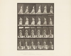 Levy 48. Kävelevä ja kääntyvä kukkakimppu molemmissa käsissä, 1885 tekijältä Eadweard Muybridge