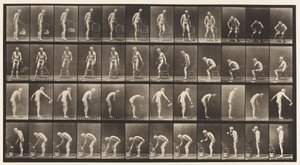 Levy 490. A, Istuminen; B, Istuminen; C, sadetusvesi tekijältä Eadweard Muybridge