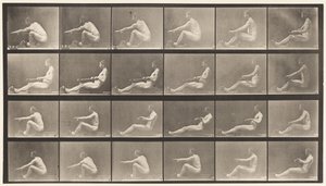Levy 492. A tekijältä Eadweard Muybridge