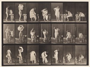 Levy 493. WC:n sekalaiset vaiheet, 1872-1885 tekijältä Eadweard Muybridge