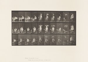 Levy 494. WC:n sekalaiset vaiheet tekijältä Eadweard Muybridge