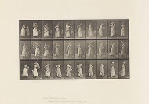 Levy 495. WC:n sekalaiset vaiheet tekijältä Eadweard Muybridge