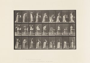 Levy 496. WC:n sekalaiset vaiheet, 1885 tekijältä Eadweard Muybridge