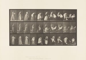 Levy 497. WC:n sekalaiset vaiheet, 1885 tekijältä Eadweard Muybridge