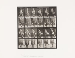 Levy 49. Kävely ja kääntyminen nopeasti tekijältä Eadweard Muybridge